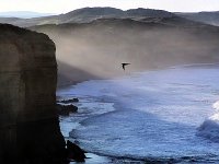 A Favourite   One of those captured moments you enjoy forever.