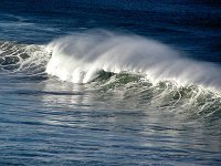 Surfers' Delight?   I'm surprised we didn't see hardened surfers braving the Great Southern for these beauties :-)